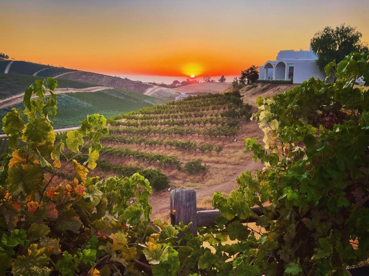 Sirena Vineyard Resort Paso Robles Exterior photo